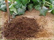 Плохая почва не проблема!