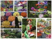 Выставка "Chelsea Flower Show"